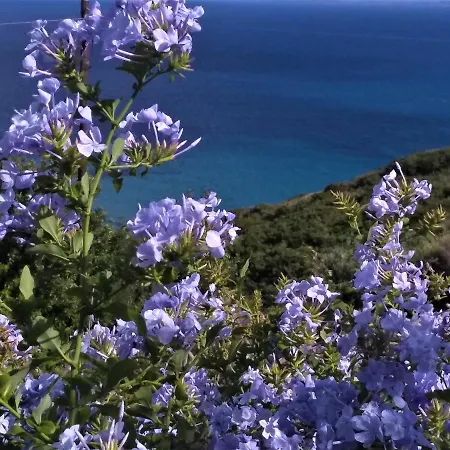 Vila Kaminia Blu Ratzaklíon